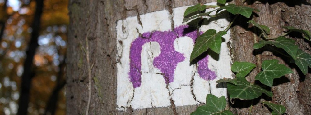 Fejlesztések a közösségért – ülésezett Kovászna Megye Tanácsa 